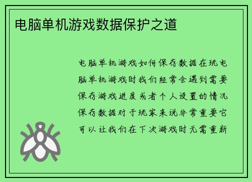 电脑单机游戏数据保护之道